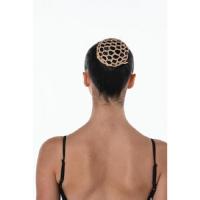 Cache chignon or